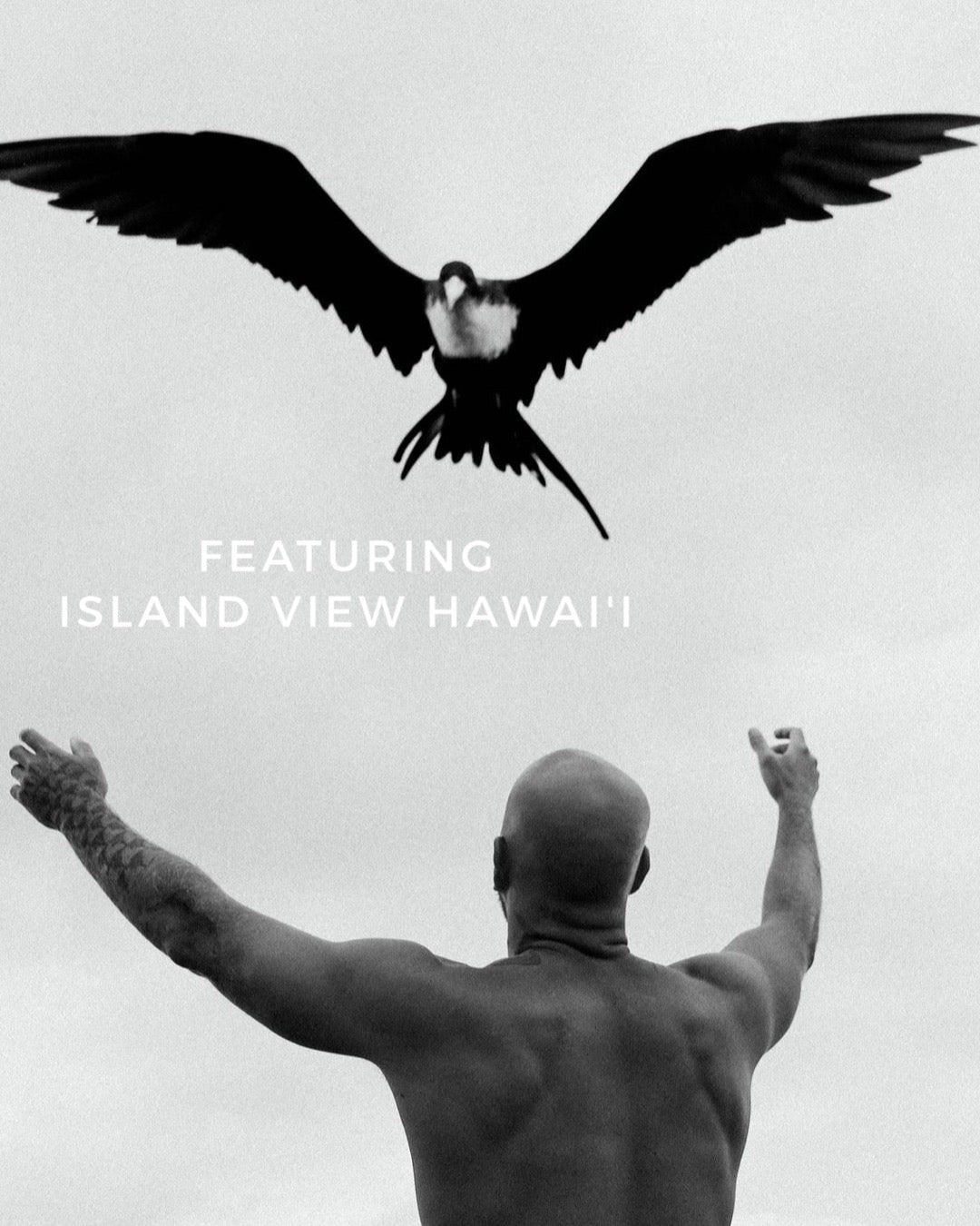 Island View Hawaii
