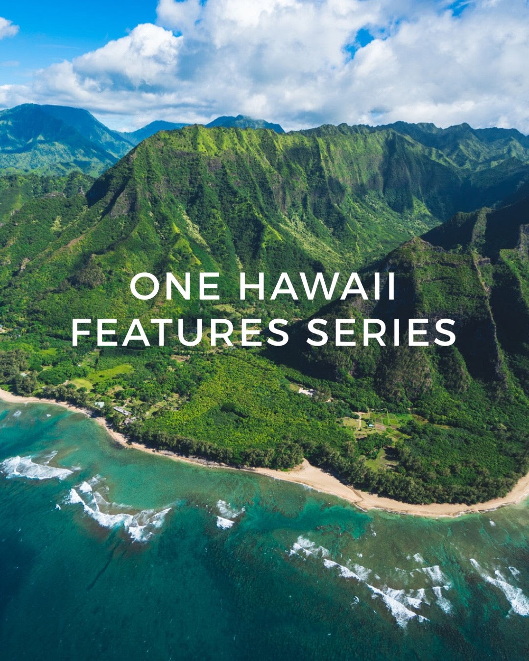 ONE HAWAII FEATURES