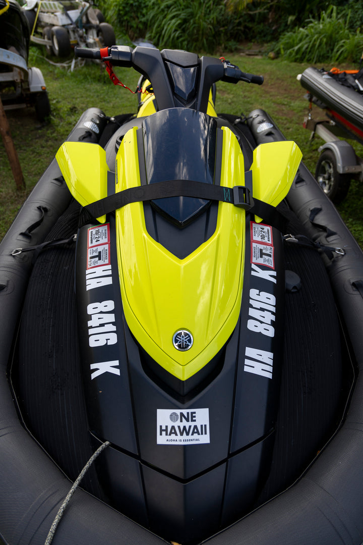 Seat Straps